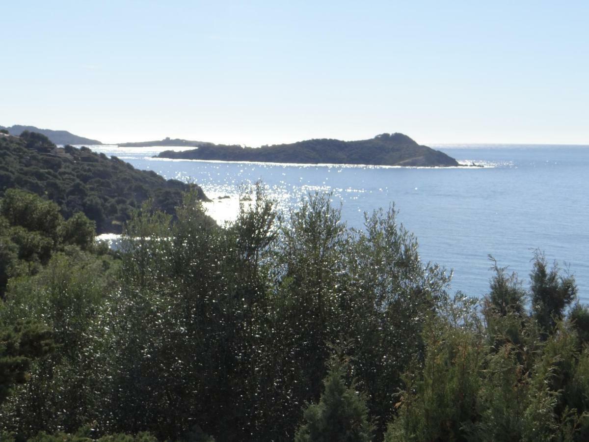 Appartement Vue Mer, Presqu'Il De Giens Ιέρ Εξωτερικό φωτογραφία